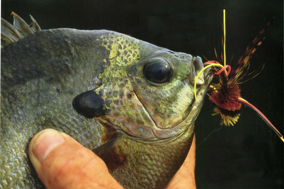 One Chartreuse Panfish/Trout/Bream Fly Fishing Popper Your Choice of Hook Size 