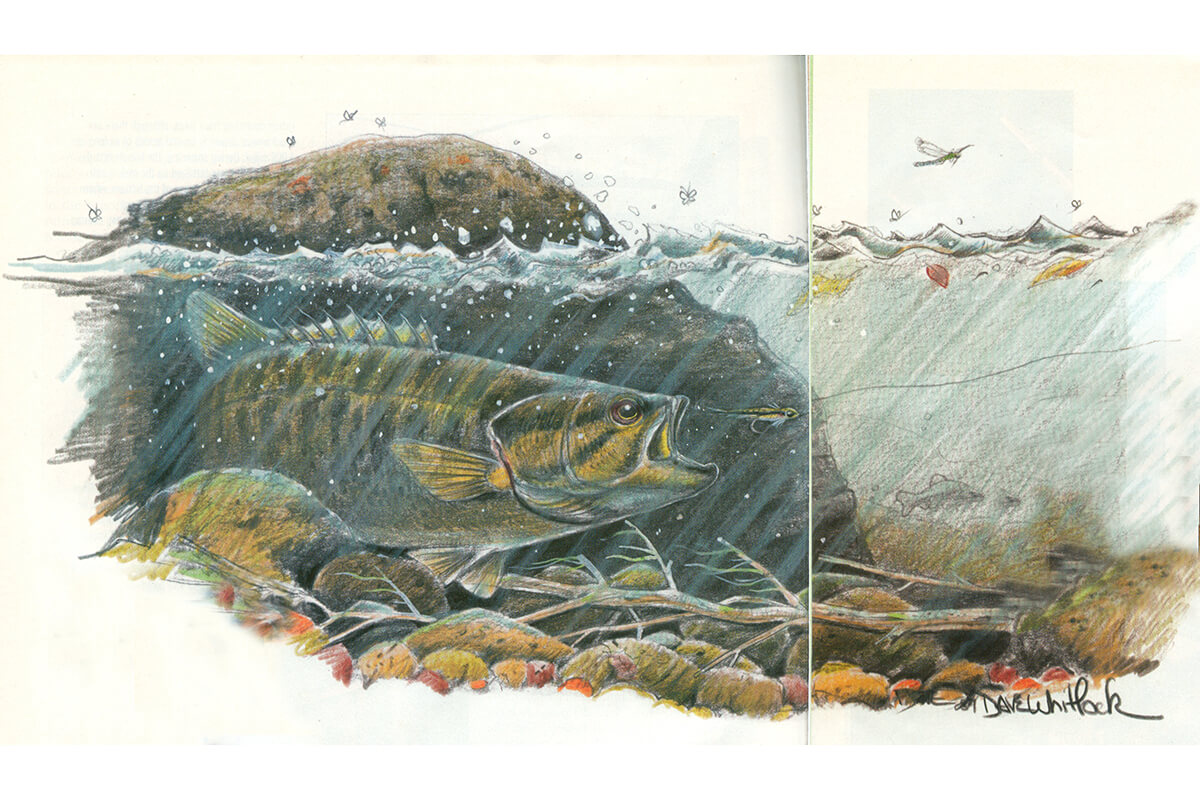 ATLANTIC SALMON Fly Fishing Art Drawing Print Picture Present Gift For Angler
