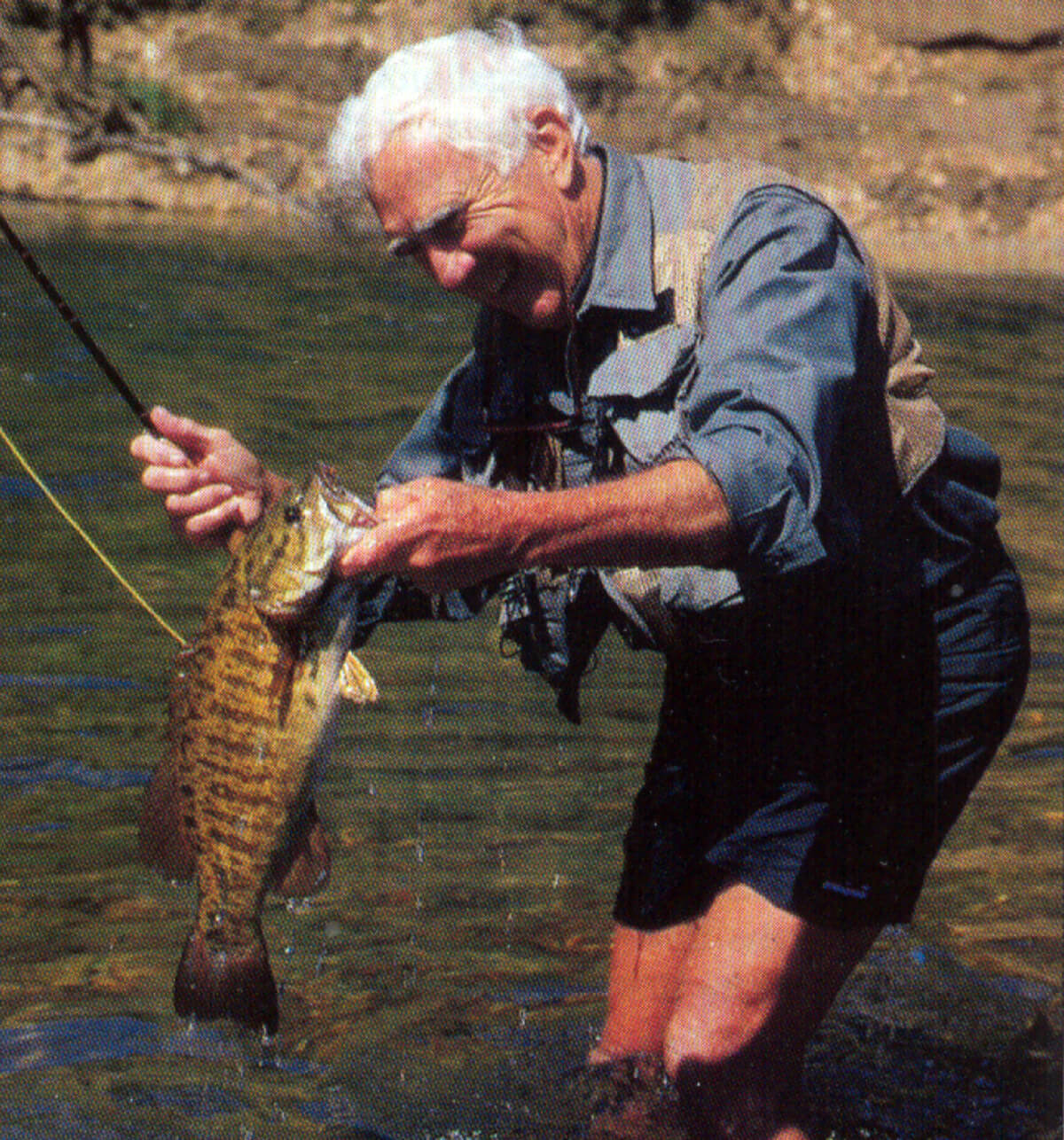 Dave Whitlock's Stream Smallmouth Bass - Fly Fisherman