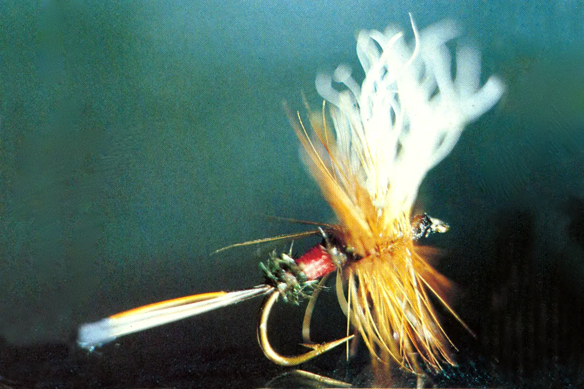Fly Fisherman Throwback: The Wulff Flies