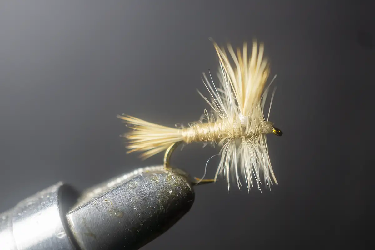 Wulff Assortment - 12 Flies - The Fly Shack Fly Fishing