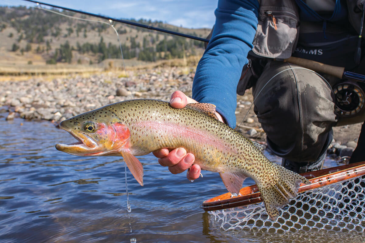 Trout Fishing Net - Thoughtful Wood Fly-Fish FunVZU Fly Fishing