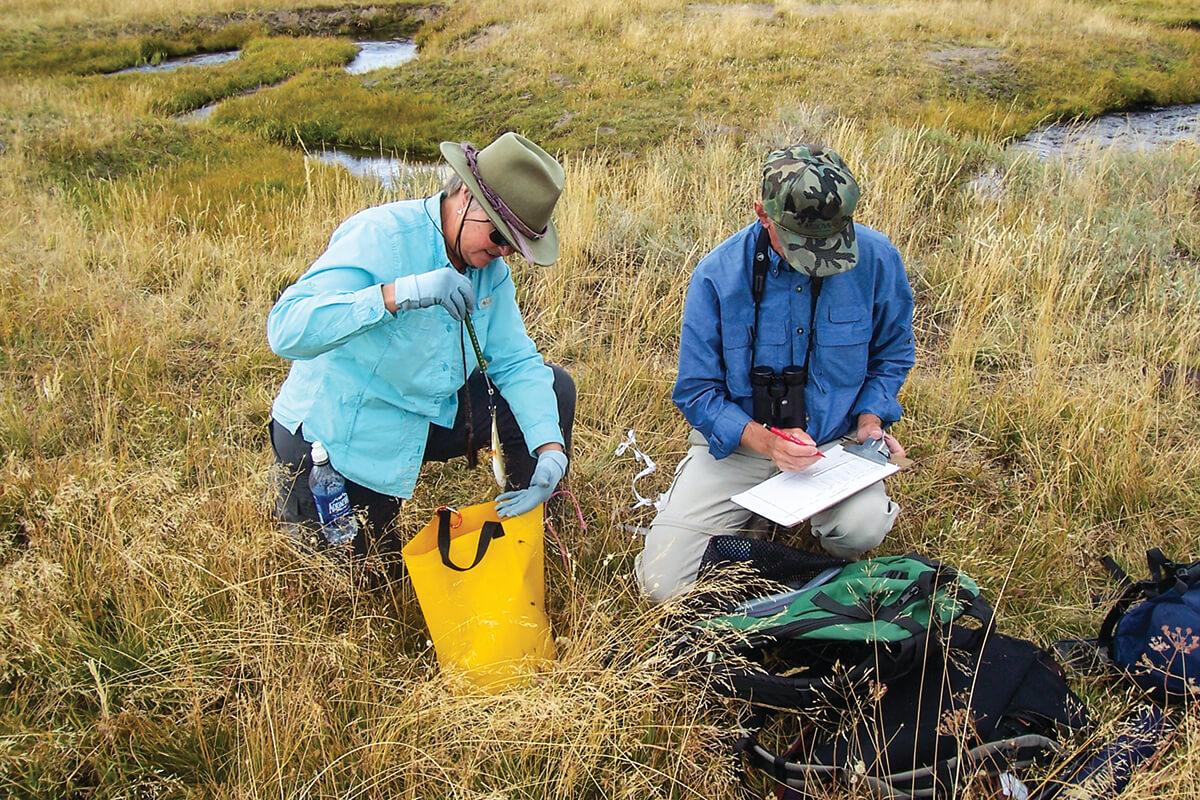 Volunteers kneeling in the grass near a creek measuring a trout and taking notes on a clipboard