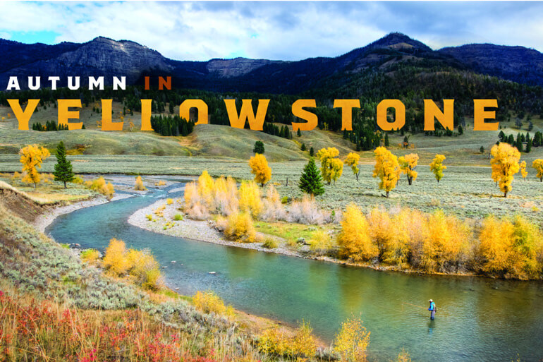 Autumn in Yellowstone: Fewer People, Bigger Trout