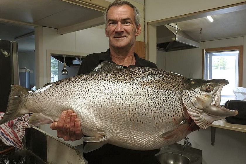 New Zealand World Record Puts Spotlight on Big Brown Trout Again