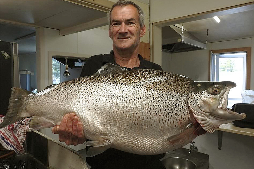 New Zealand World Record Brown Trout - Fly Fisherman