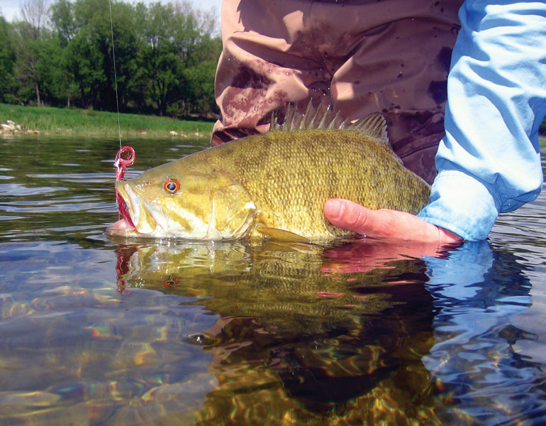 //content.osgnetworks.tv/flyfisherman/content/photos/smallmouth-on-fly.jpg