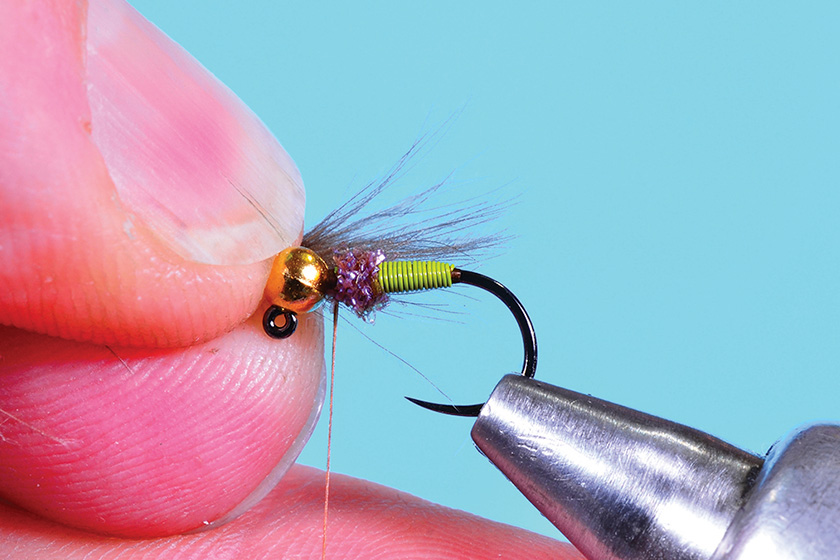 How to Tie the Sweet Meat Caddis Fly - Step 6