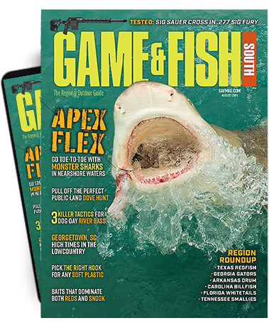 Subscribe to the Magazine
