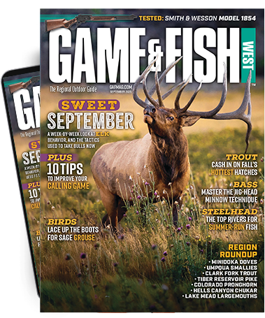 Subscribe to the Magazine