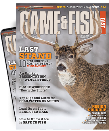 Subscribe to the Magazine