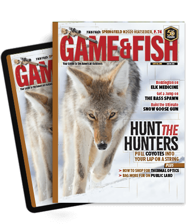 Subscribe to the Magazine