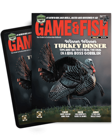 Subscribe to the Magazine