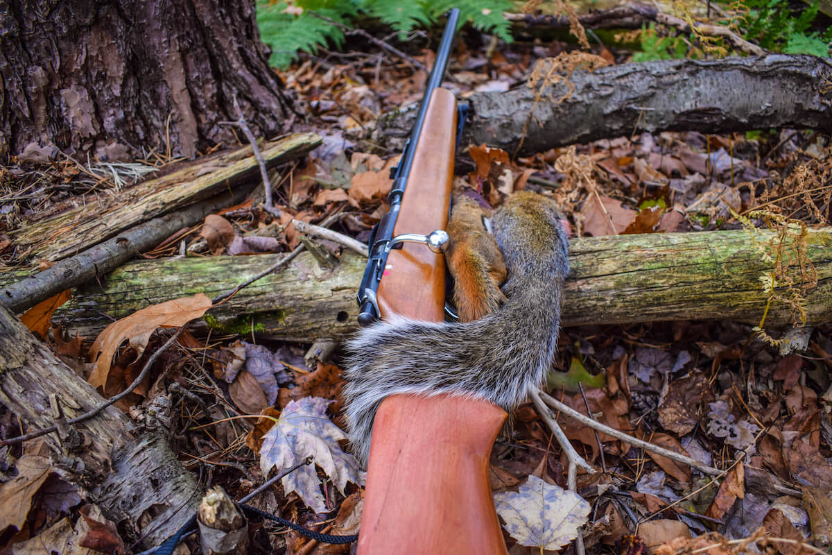 Field Skills: The Best Way to Skin a Squirrel