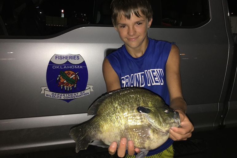 The Story of Record (and Near-Record) Bluegills