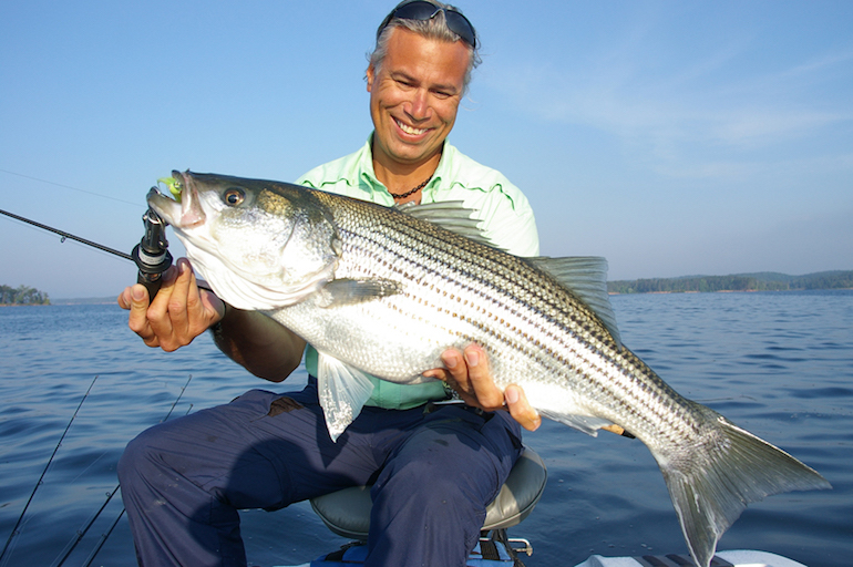 Two Lakes for Lunker Fall Striped Bass