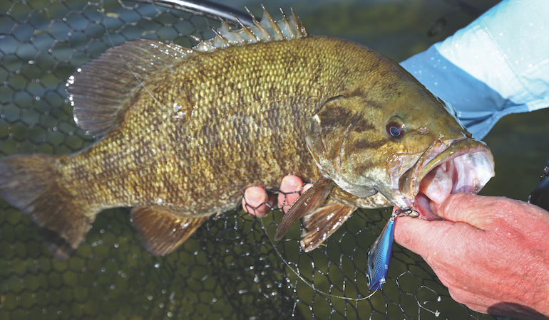 Drift Fishing for Arkansas Fall Bass