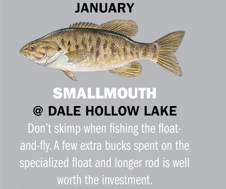 Barren River Lake Sticker Largemouth Bass decal Kentucky GUARANTEED 3 yrs nofade 