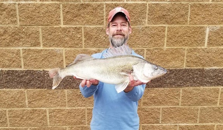 Targeting Catfish, Missouri Man Grabs Walleye Record