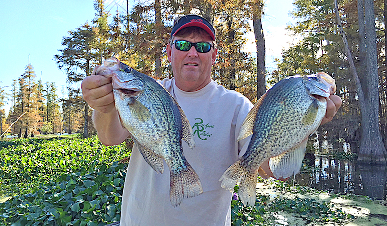 Crappie-Fishing Lessons From Stumphole Swamp