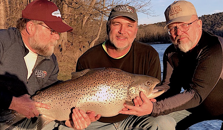 Huge Brown Trout Shatters Missouri Record