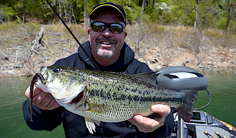 Seeing Spots: Tough-Fighting Bass Shouldn't Be Overlooked