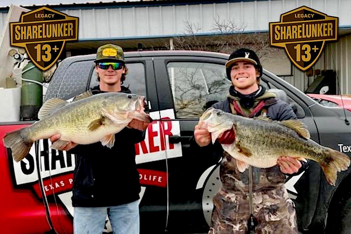 14-Pounders Galore! Groundhog Bass Bonanza in Texas - Game & Fish