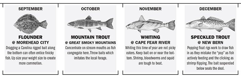 North Carolina Fishing Calendar Game Fish