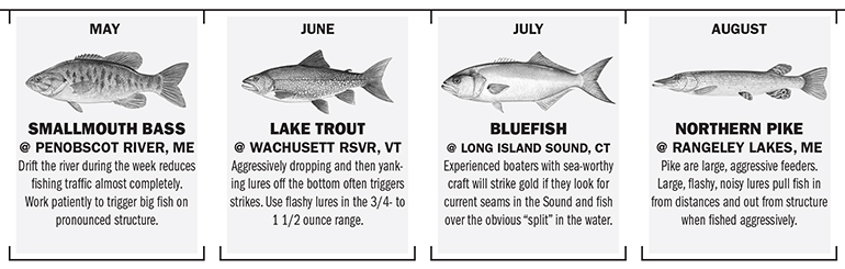 New England Fishing Calendar - Game & Fish