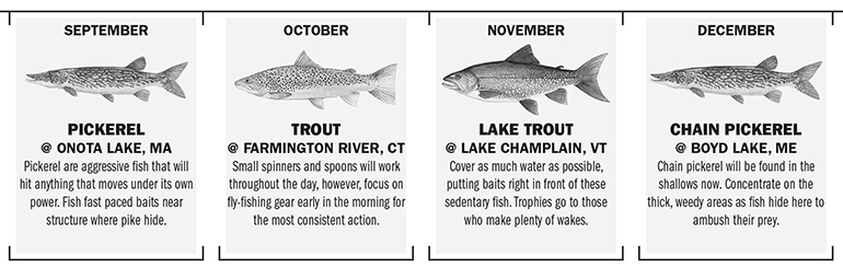 New England Fishing Calendar - Game & Fish
