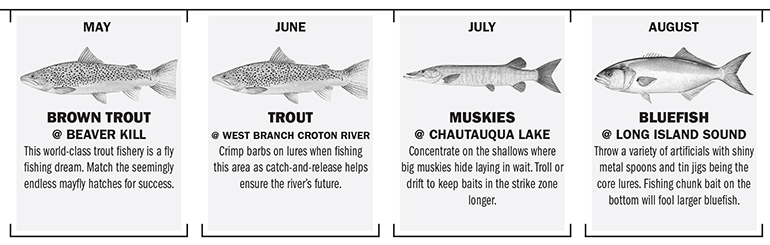 New York Fishing Calendar Game Fish