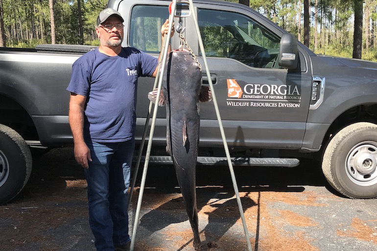Georgia Blue Catfish