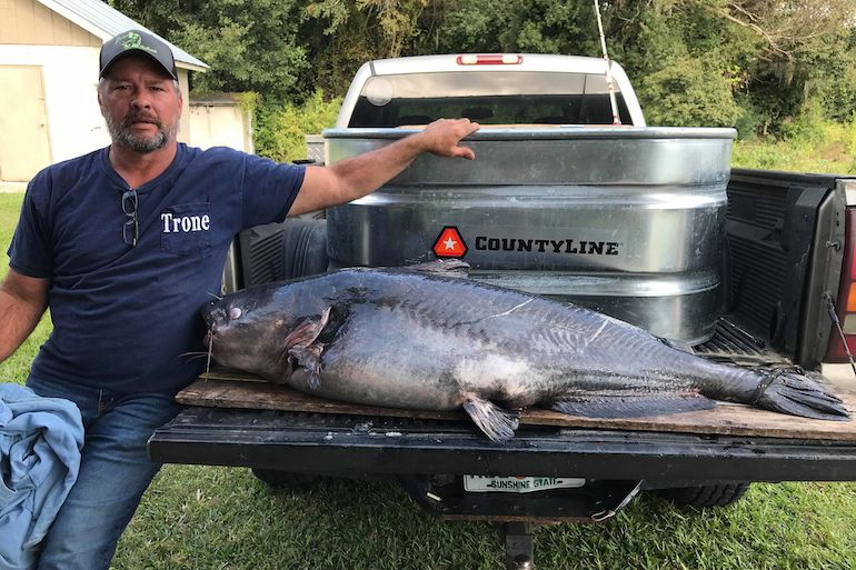 Monster Blue Catfish Smashes Georgia Record