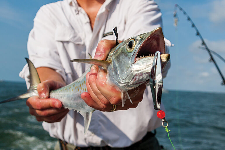5 of the Best Places to Catch Spanish Mackerel in Late Summer