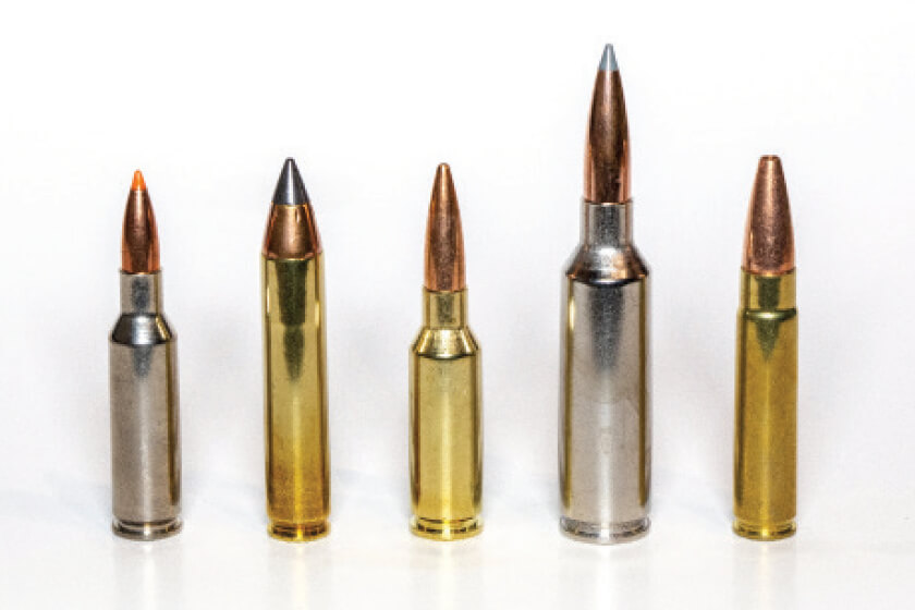 New Rifle Cartridges for the Modern Hunter