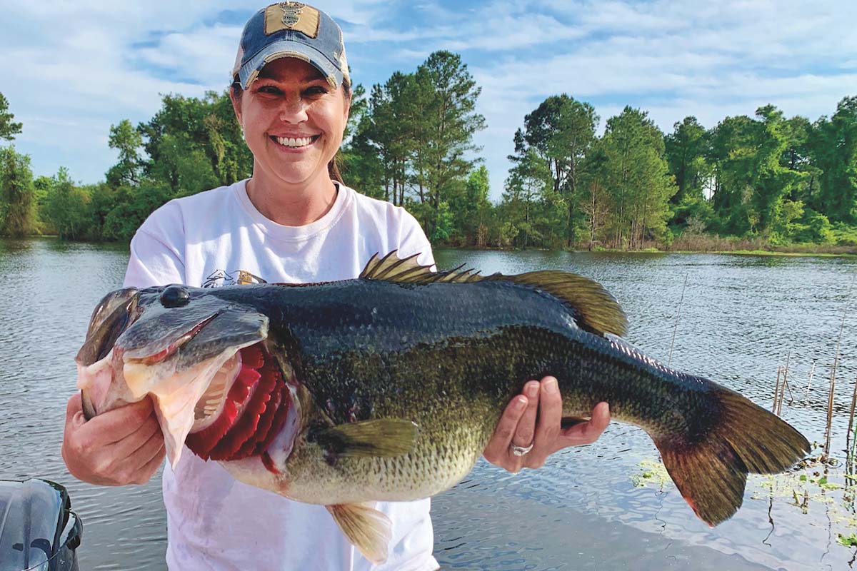 Big Bass Boomtown in Florida - Game & Fish