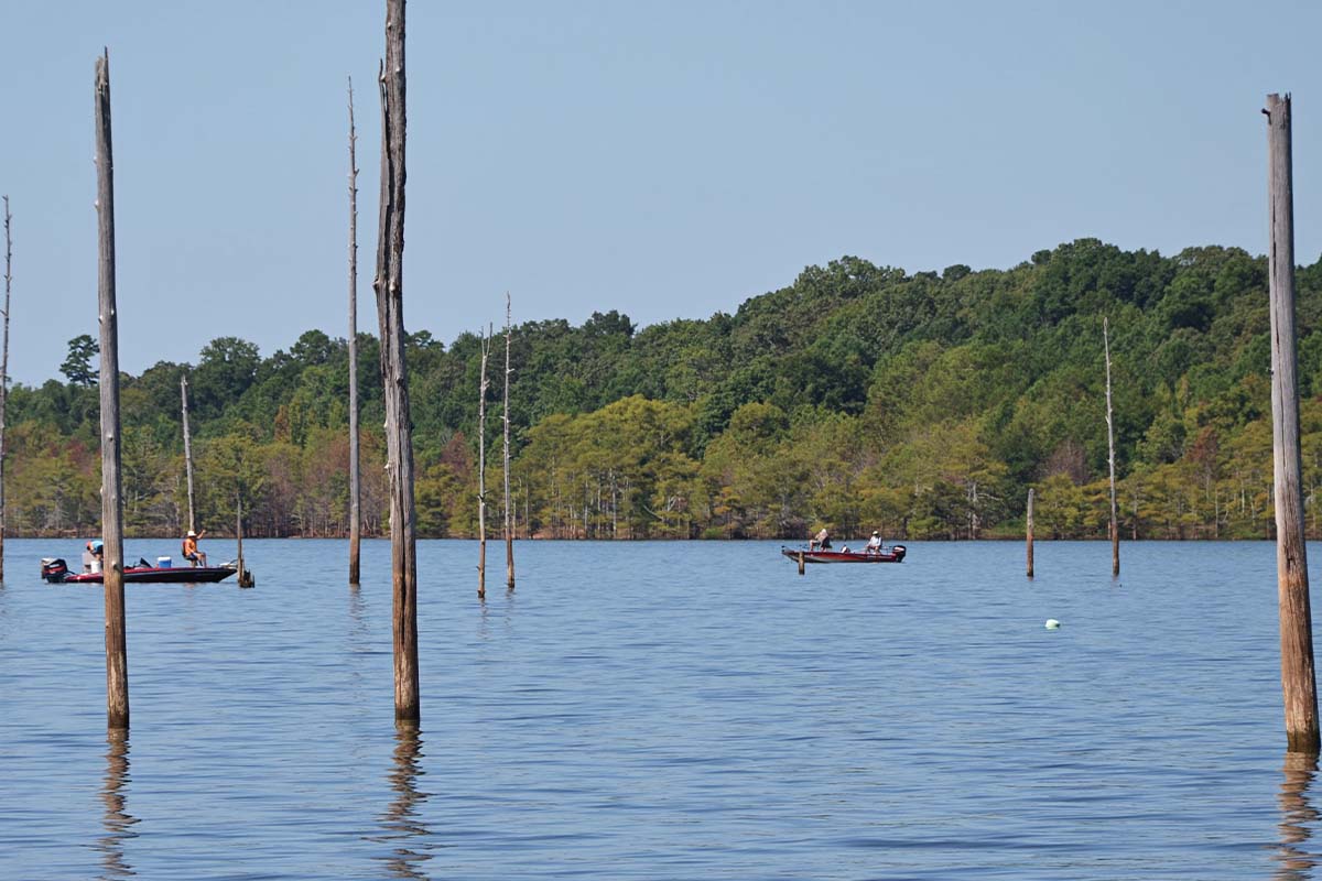 NPS Fishing - Crappie Monster