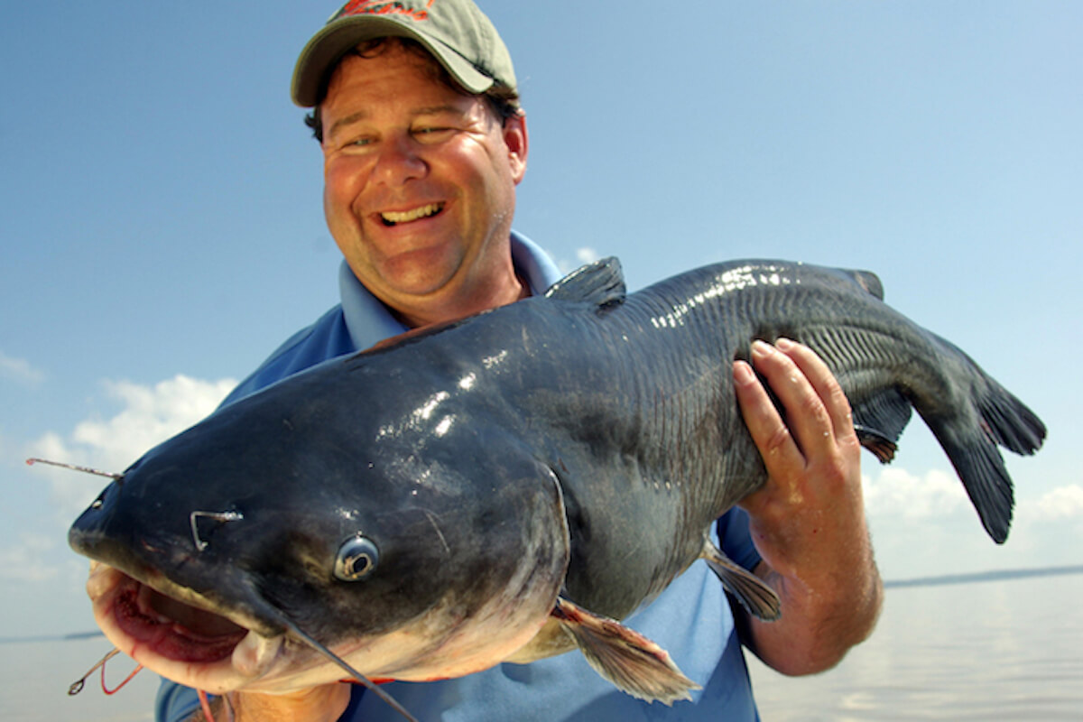 How, Where to Catch Big, Bad Blue Catfish