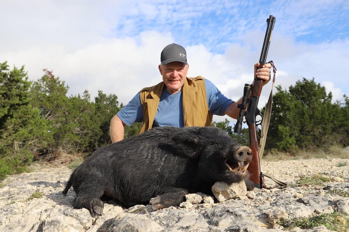 wild boar hunting with dogs