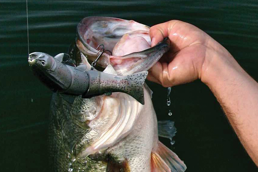 California Dreaming: The Land of Giant Double-Digit Bass
