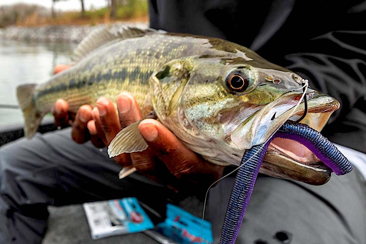 Slow Your Roll: Deadstick Tactics for Lethargic Bass