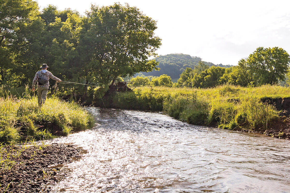 Catch Your Drift: Chasing Trout in Wisconsin's Driftless Are