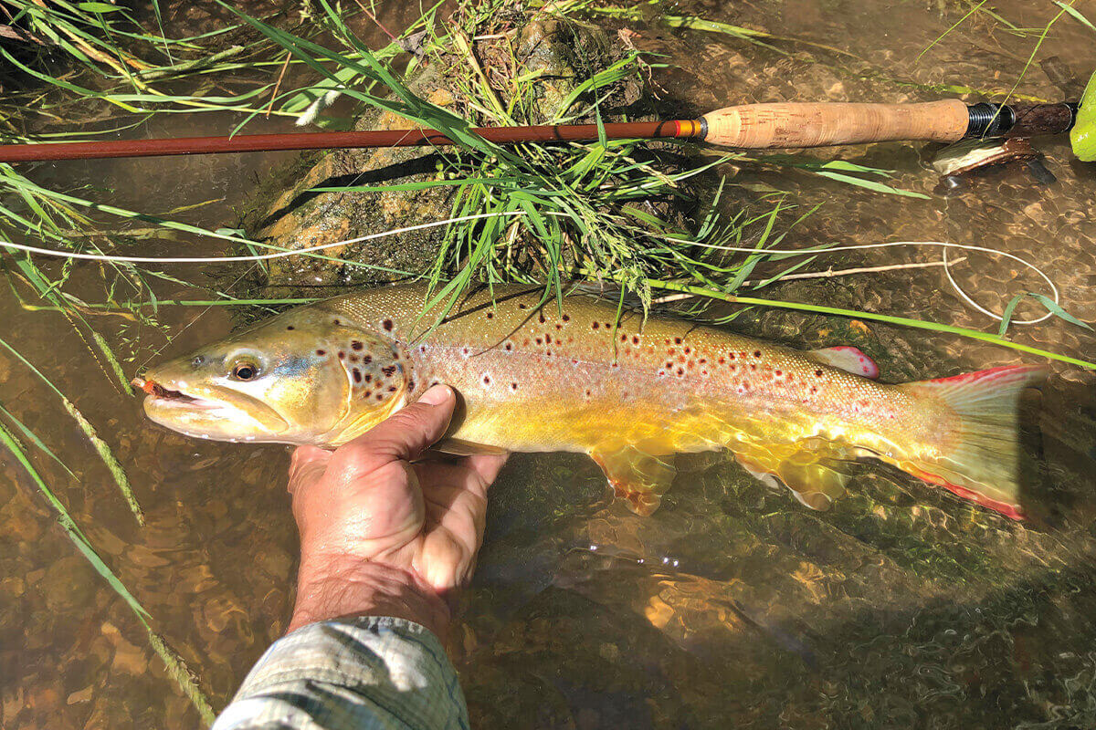 Catch Your Drift: Chasing Trout in Wisconsin's Driftless Area