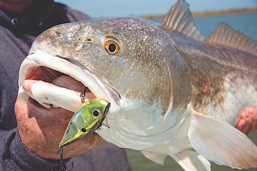 Bucket List: Battle Bull Redfish at the End of the World