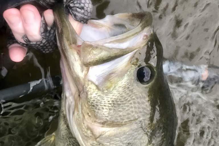 Feb-Burr!-Ary Bass: Tactics, Lures for Winter Largemouths