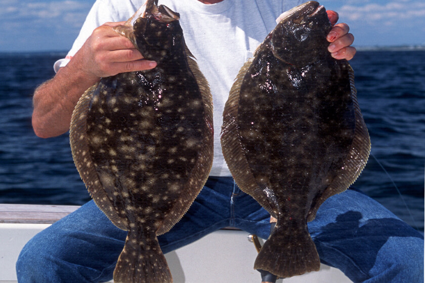 Ain't No Fluke: Top Spots for Late-Summer Flat Fish