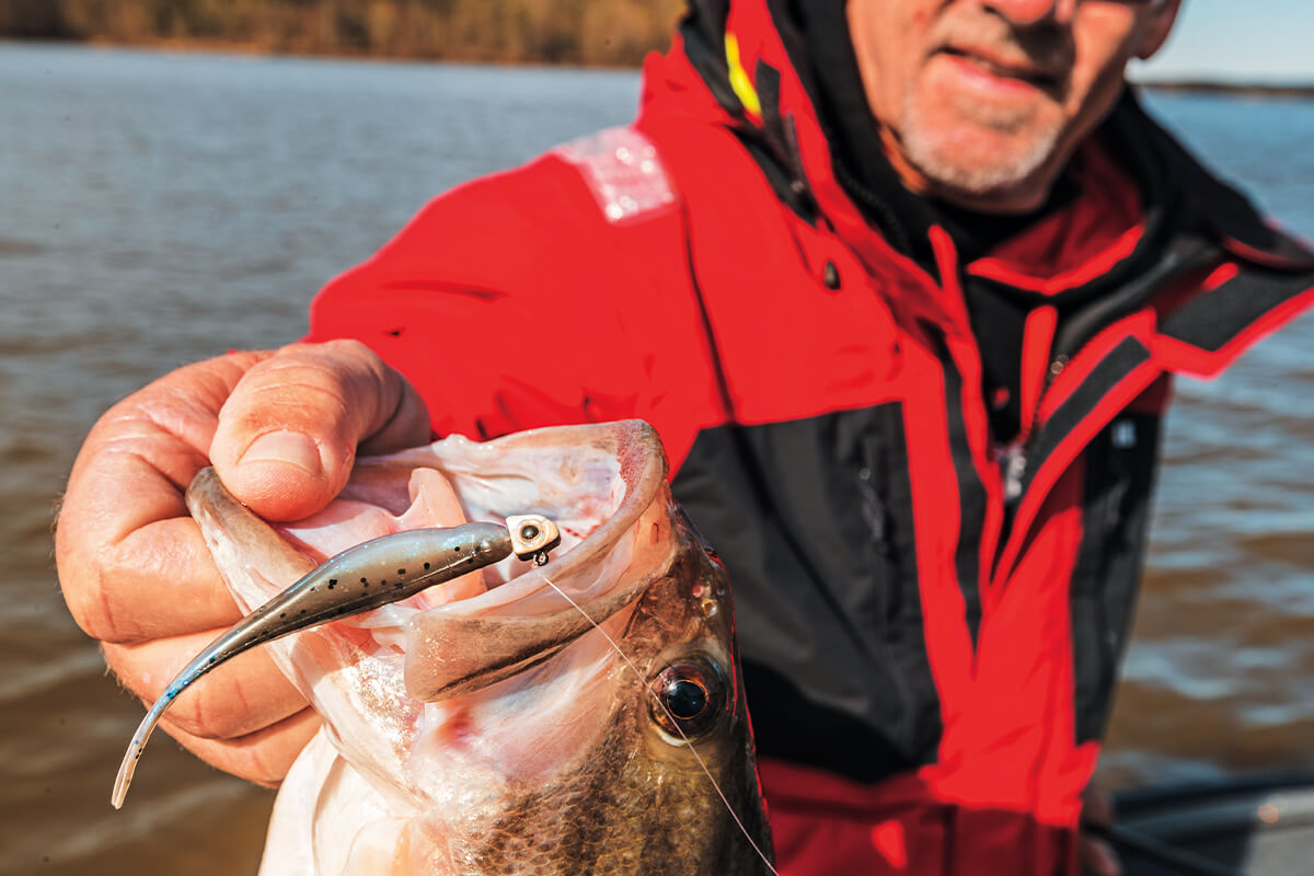 Fall bass fishing made easy. Just throw a fluke style bait like the pi