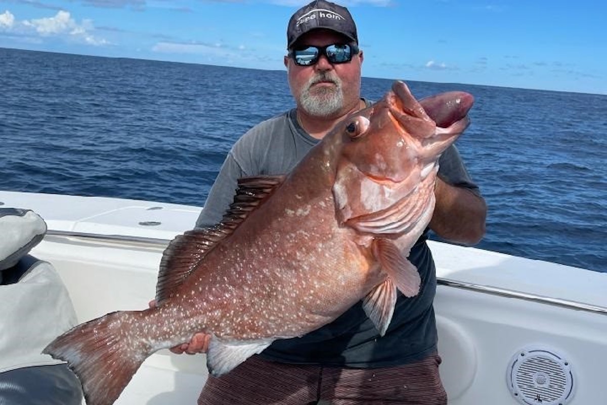 Huge Red Grouper Shatters Georgia Record