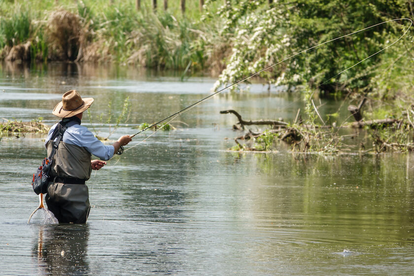 Beat Back Bug Bites to Get Bit by Still-Water Trout - Game & Fish