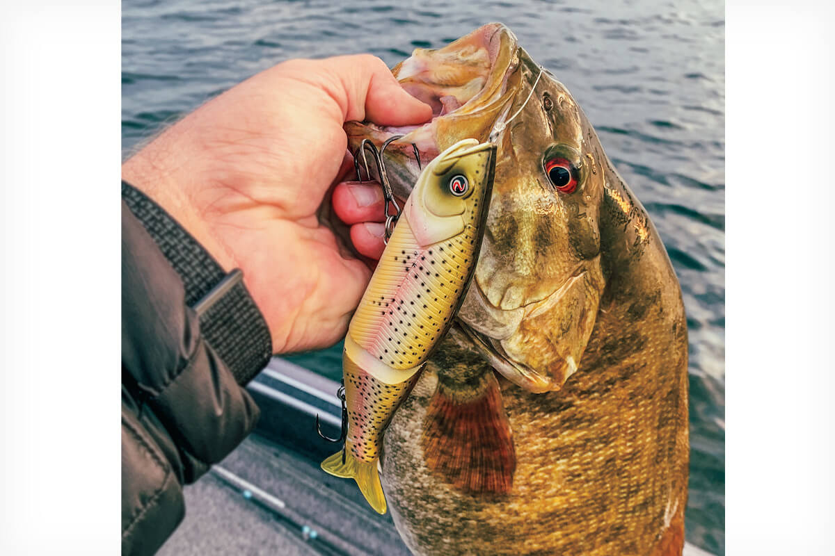 Watch Choosing Glide Baits for Bass Fishing